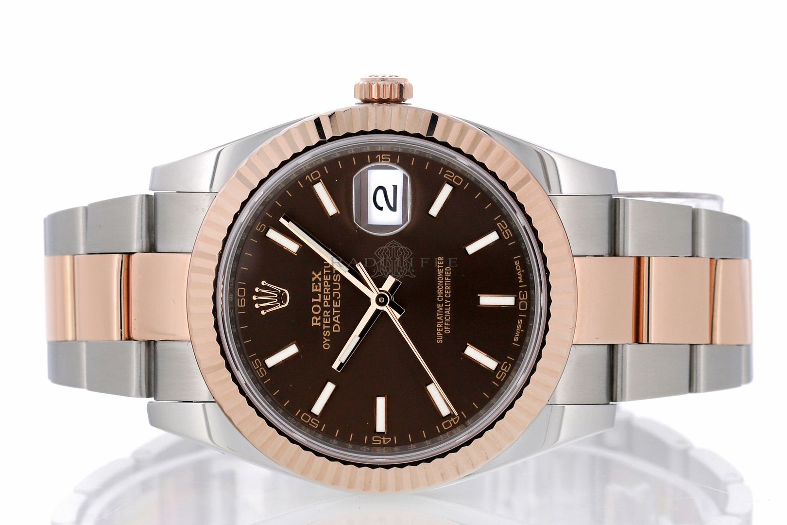 datejust 41 everose gold